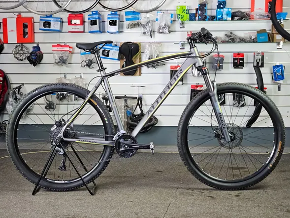 Author Pegas 29" XL